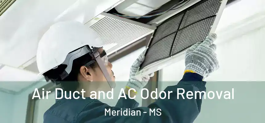  Air Duct and AC Odor Removal Meridian - MS