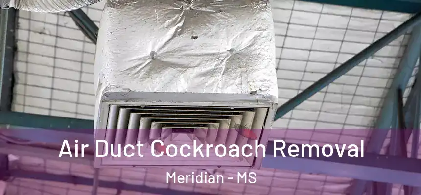 Air Duct Cockroach Removal Meridian - MS
