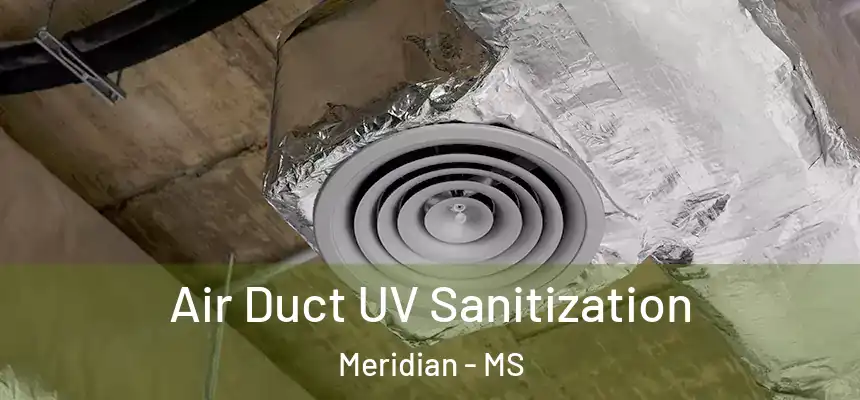  Air Duct UV Sanitization Meridian - MS