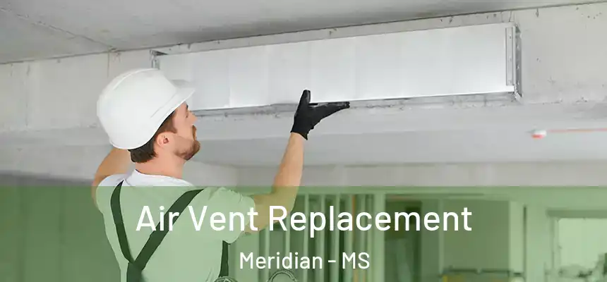  Air Vent Replacement Meridian - MS