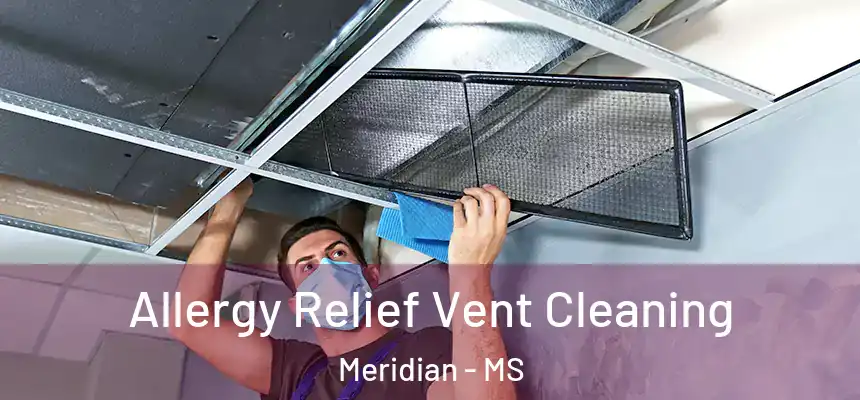 Allergy Relief Vent Cleaning Meridian - MS