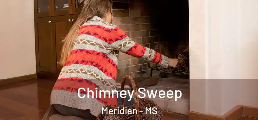 Chimney Sweep Meridian - MS