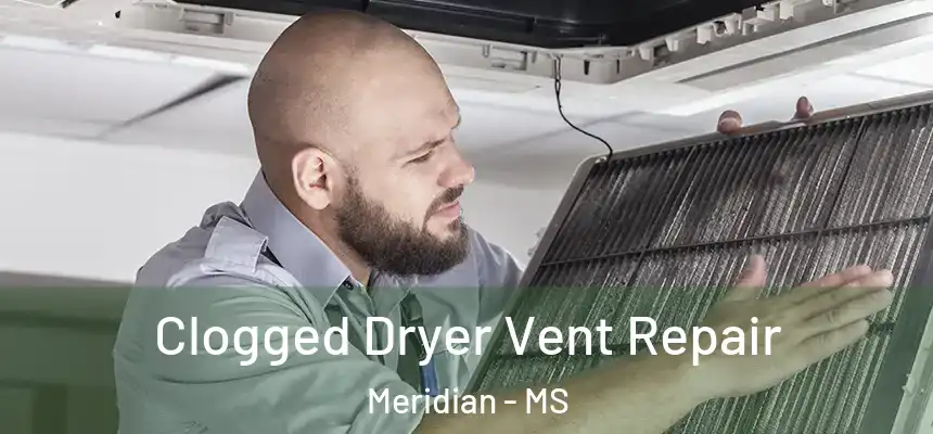  Clogged Dryer Vent Repair Meridian - MS