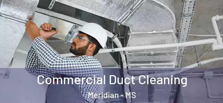 Commercial Duct Cleaning Meridian - MS