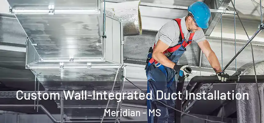 Custom Wall-Integrated Duct Installation Meridian - MS