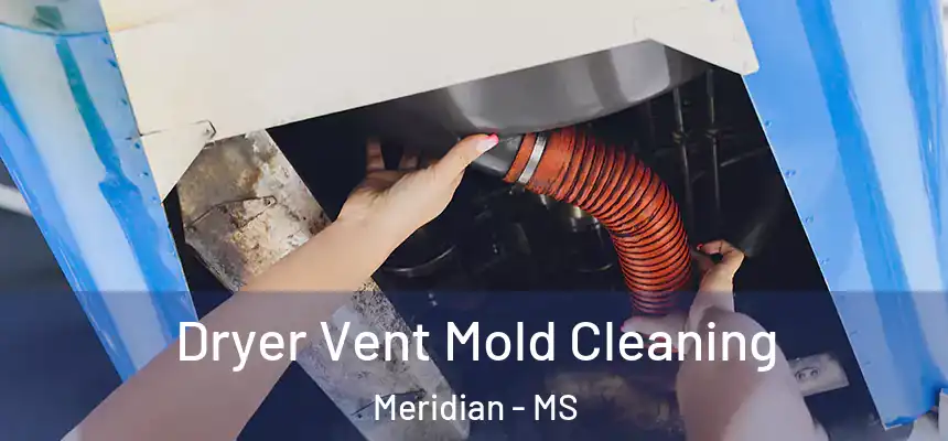  Dryer Vent Mold Cleaning Meridian - MS