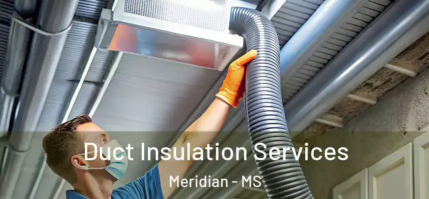 Duct Insulation Services Meridian - MS