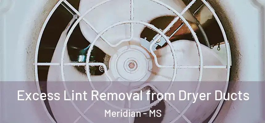  Excess Lint Removal from Dryer Ducts Meridian - MS