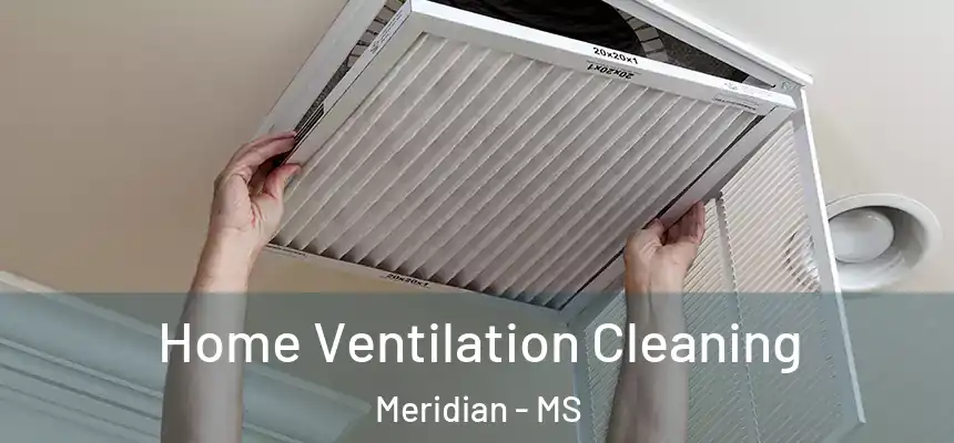 Home Ventilation Cleaning Meridian - MS