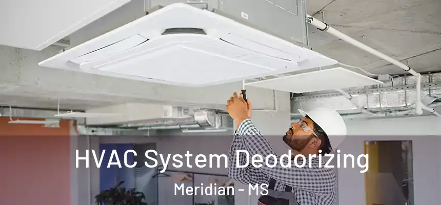  HVAC System Deodorizing Meridian - MS