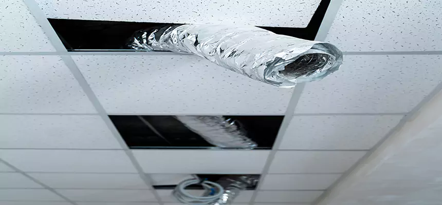 Our Air Duct Pet Hair Removal Services in Meridian, MS