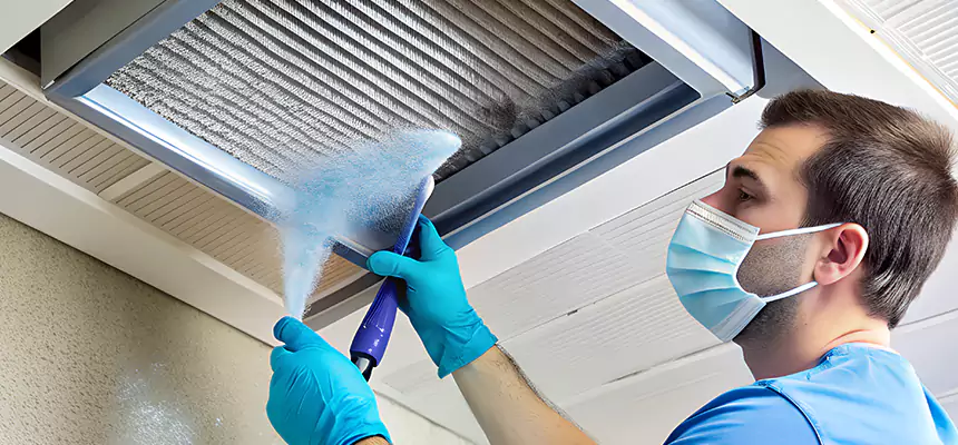 Proactive Dryer Vent & Auxiliary Duct Pollen Cleanup in Meridian, MS
