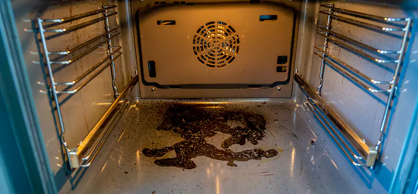 Our Dryer Vent Mold Cleaning Services in Meridian, MS