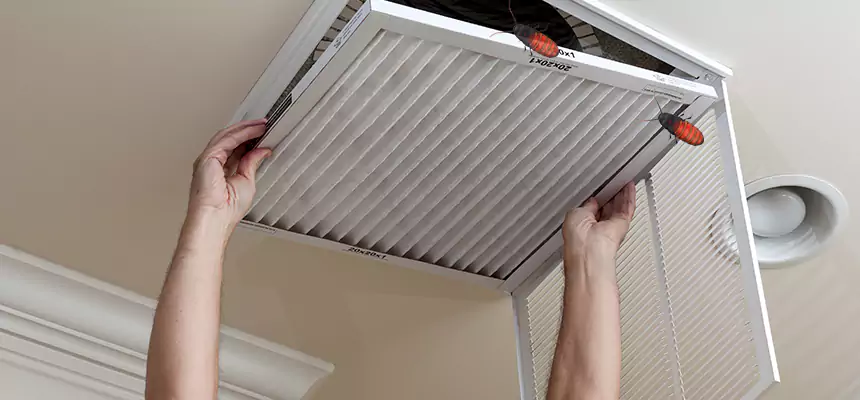 Our Insect Removal from Air Ducts Services in Meridian, MS