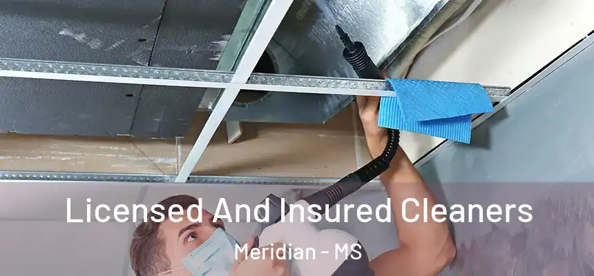 Licensed And Insured Cleaners Meridian - MS