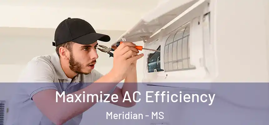 Maximize AC Efficiency Meridian - MS