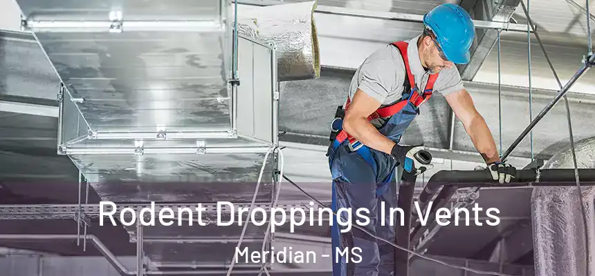  Rodent Droppings In Vents Meridian - MS