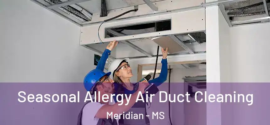 Seasonal Allergy Air Duct Cleaning Meridian - MS