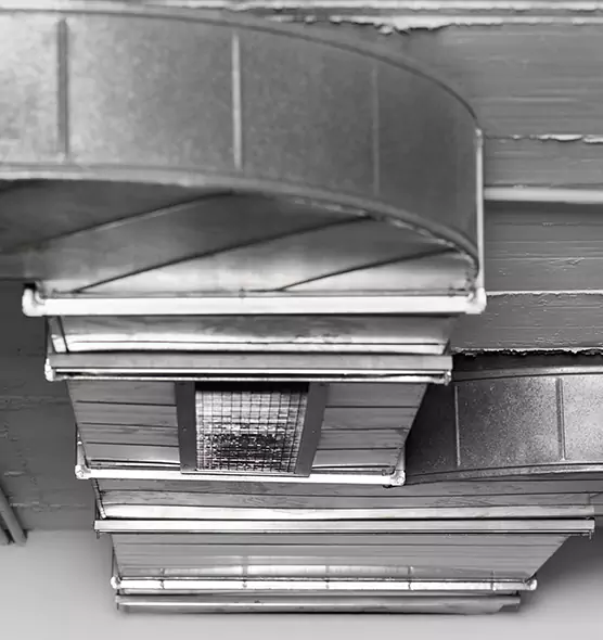 Professional Air Duct Pet Hair Removal in Meridian, MS