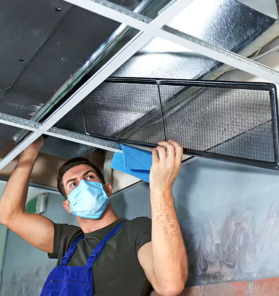 Professional Air Duct Pollen Cleaning in Meridian, MS