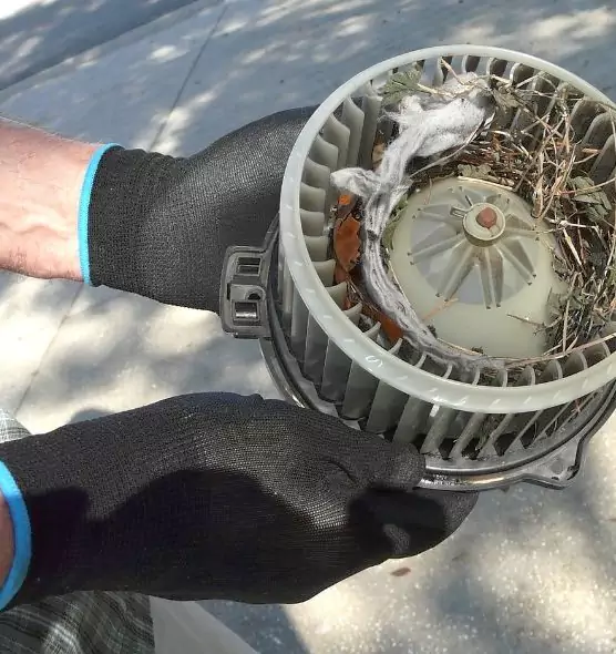 About Air Duct Rat Removal in Meridian, MS