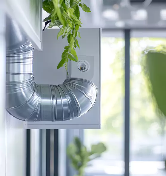 Professional Eco-Safe Dryer Vent Cleaning in Meridian, MS