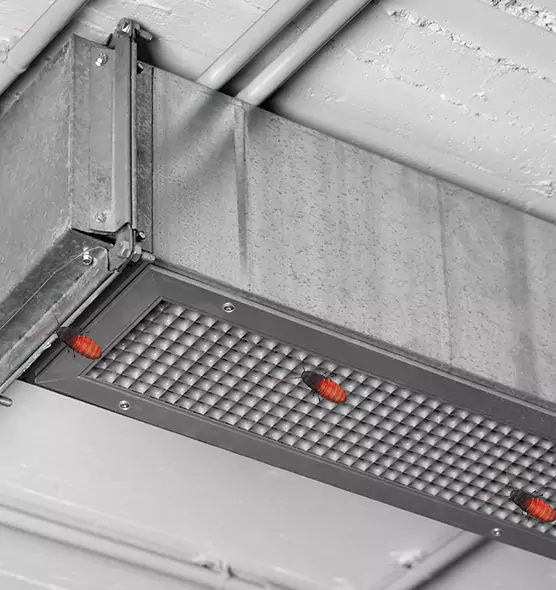 Affordable Insect Removal from Air Ducts in Meridian, MS