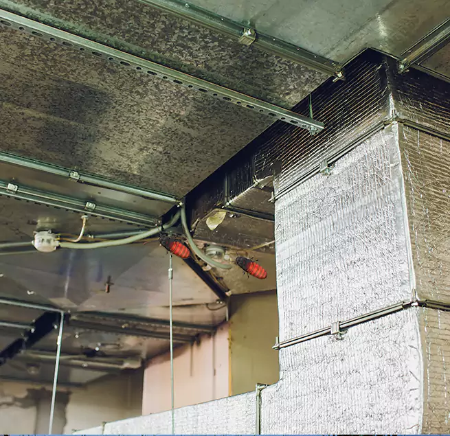 Why Homeowners & Businesses Trust Us in Meridian, MS?