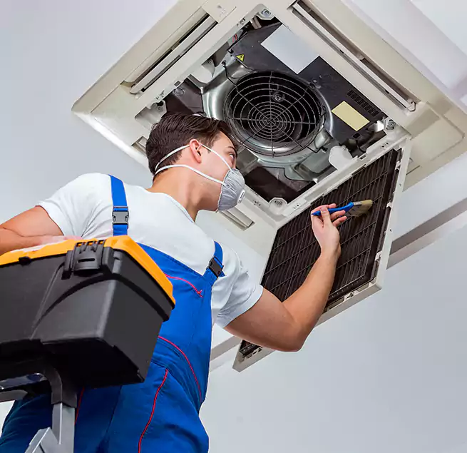 Why Homeowners & Businesses Trust Us in Meridian, MS