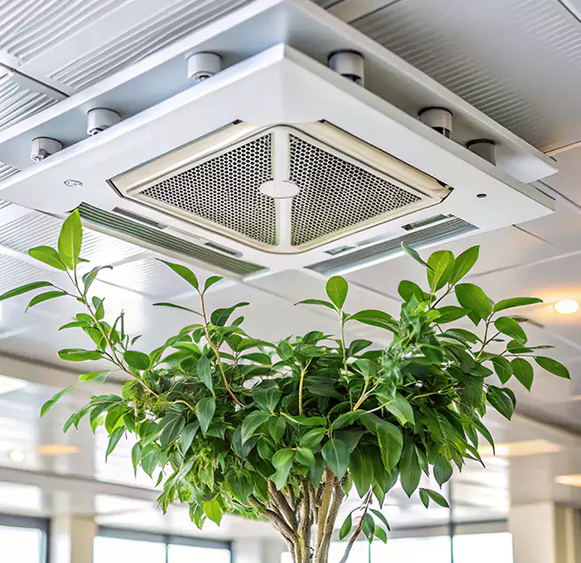 Why Homeowners & Businesses Trust Us in Meridian, MS