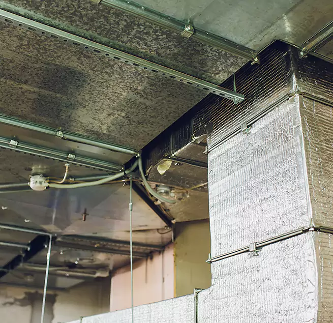 Why Homeowners & Businesses Trust Us in Meridian, MS?