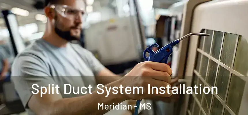  Split Duct System Installation Meridian - MS