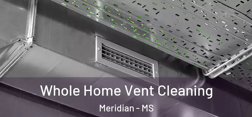  Whole Home Vent Cleaning Meridian - MS